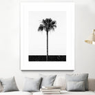 Coconut Tree by Uma Gokhale on GIANT ART - white photo manipulation