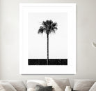 Coconut Tree by Uma Gokhale on GIANT ART - white photo manipulation