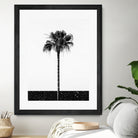 Coconut Tree by Uma Gokhale on GIANT ART - white photo manipulation