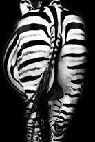 Stripes And Tails Monochrome by Irina Safonova on GIANT ART - gray photo manipulation