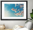 Spring Cherry Sakura White Flowers,Toning by Anna Matveeva on GIANT ART - blue photo illustration