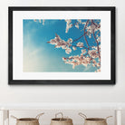 Spring Cherry Sakura White Flowers,Toning by Anna Matveeva on GIANT ART - blue photo illustration