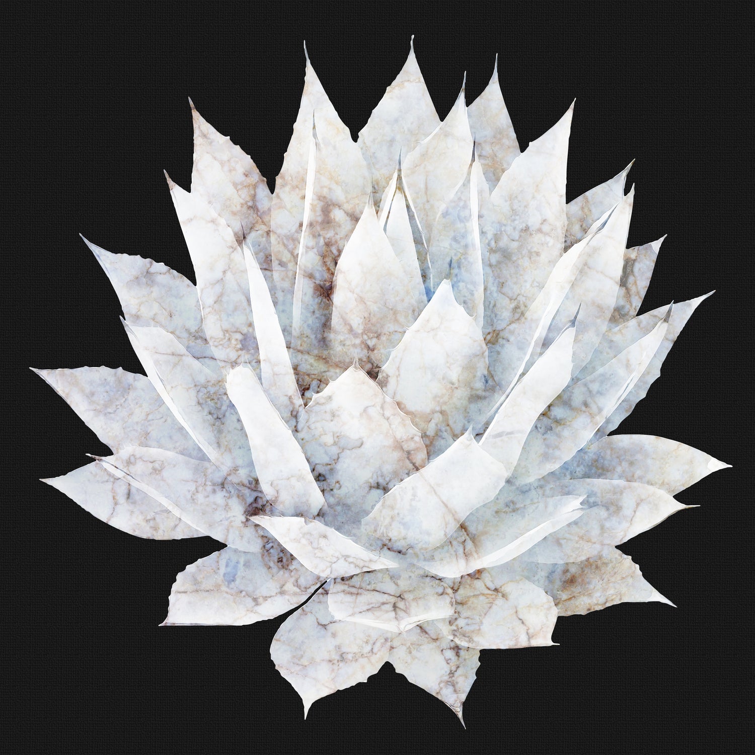 White Marble Agave Plant by amini 54 on GIANT ART - white digital painting