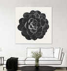 Black Marble Succulent Plant by amini 54 on GIANT ART - black digital painting