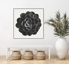 Black Marble Succulent Plant by amini 54 on GIANT ART - black digital painting