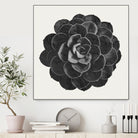 Black Marble Succulent Plant by amini 54 on GIANT ART - black digital painting