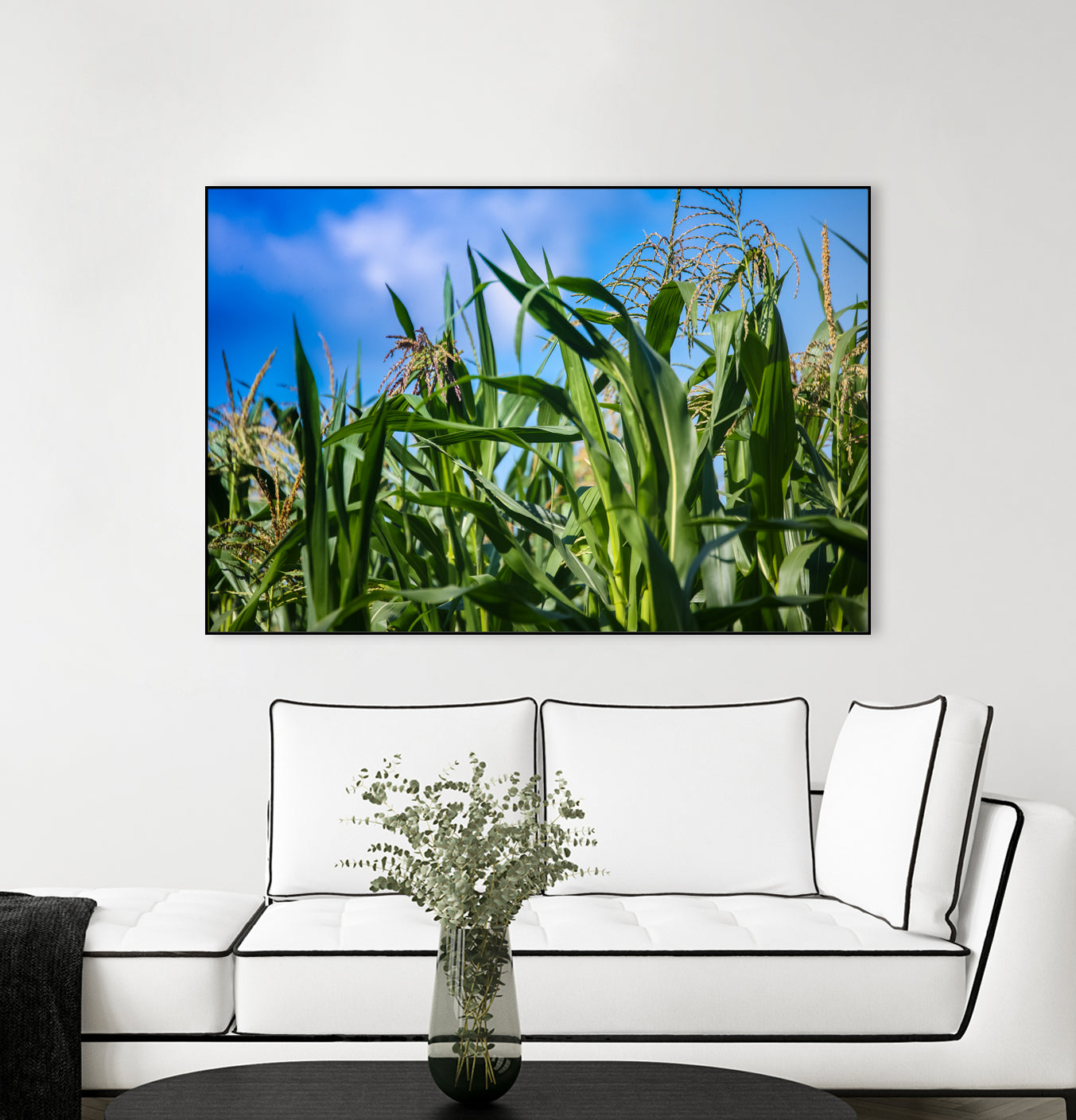 Corn Field Blue Sky Close-up by Anna Matveeva on GIANT ART - green photo illustration