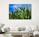 Corn Field Blue Sky Close-up by Anna Matveeva on GIANT ART - green photo illustration