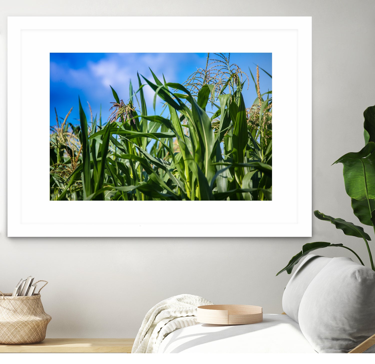 Corn Field Blue Sky Close-up by Anna Matveeva on GIANT ART - green photo illustration