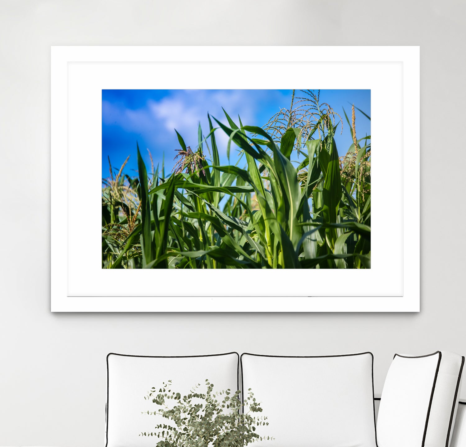 Corn Field Blue Sky Close-up by Anna Matveeva on GIANT ART - green photo illustration