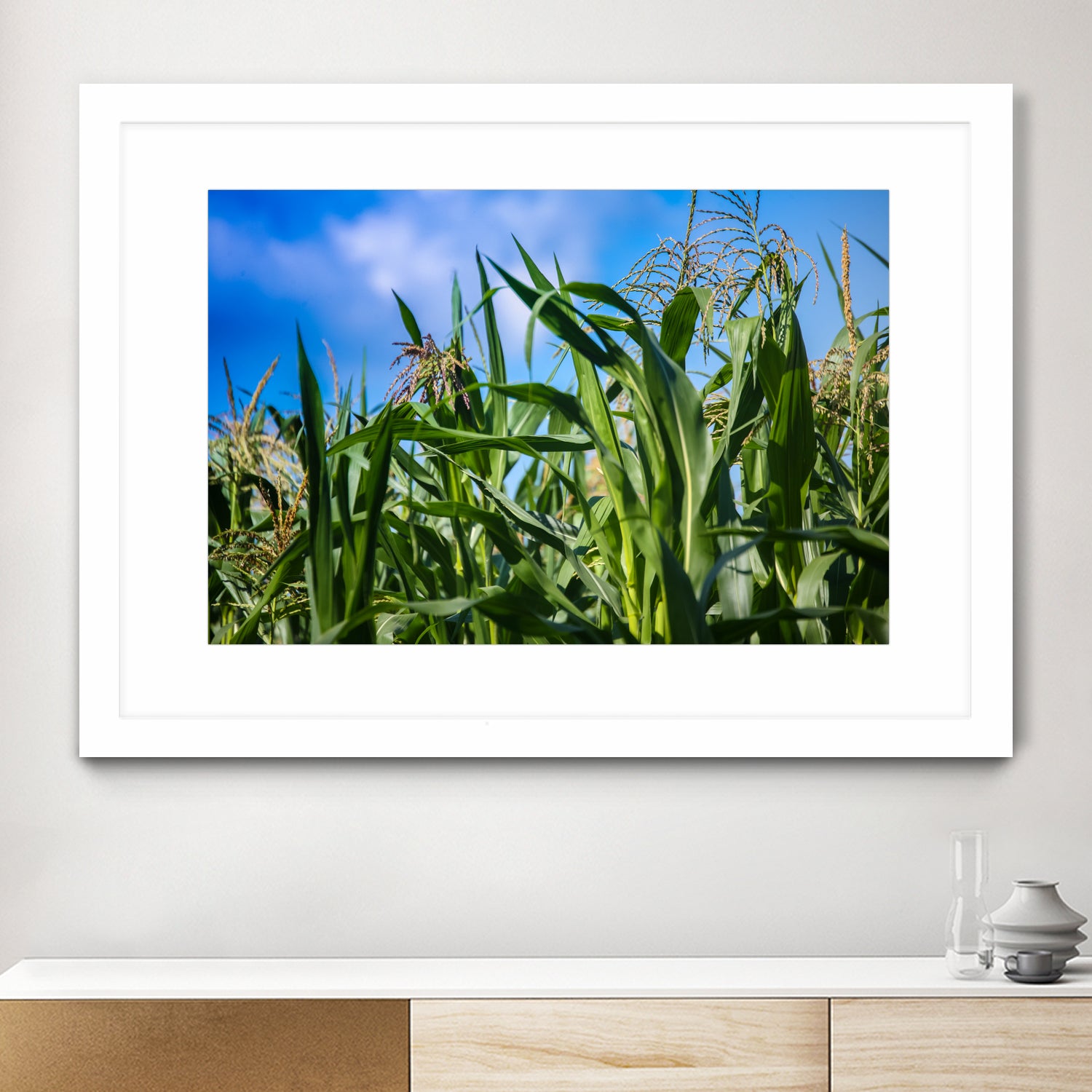 Corn Field Blue Sky Close-up by Anna Matveeva on GIANT ART - green photo illustration