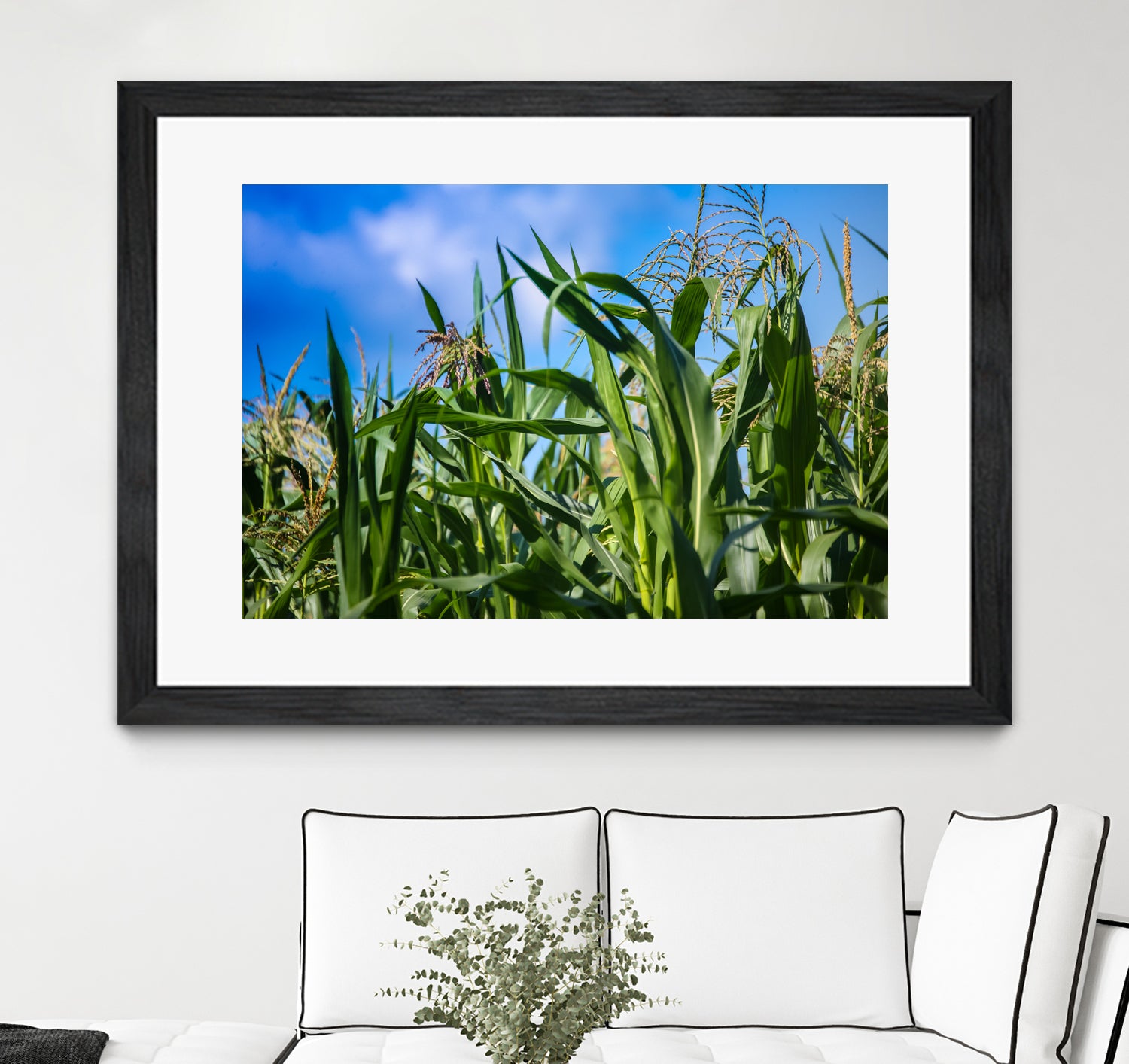 Corn Field Blue Sky Close-up by Anna Matveeva on GIANT ART - green photo illustration