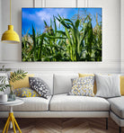 Corn Field Blue Sky Close-up by Anna Matveeva on GIANT ART - green photo illustration