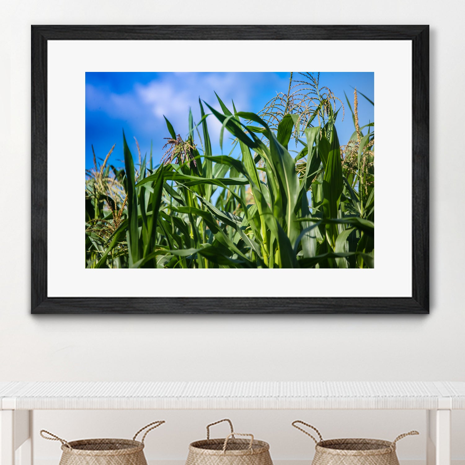 Corn Field Blue Sky Close-up by Anna Matveeva on GIANT ART - green photo illustration