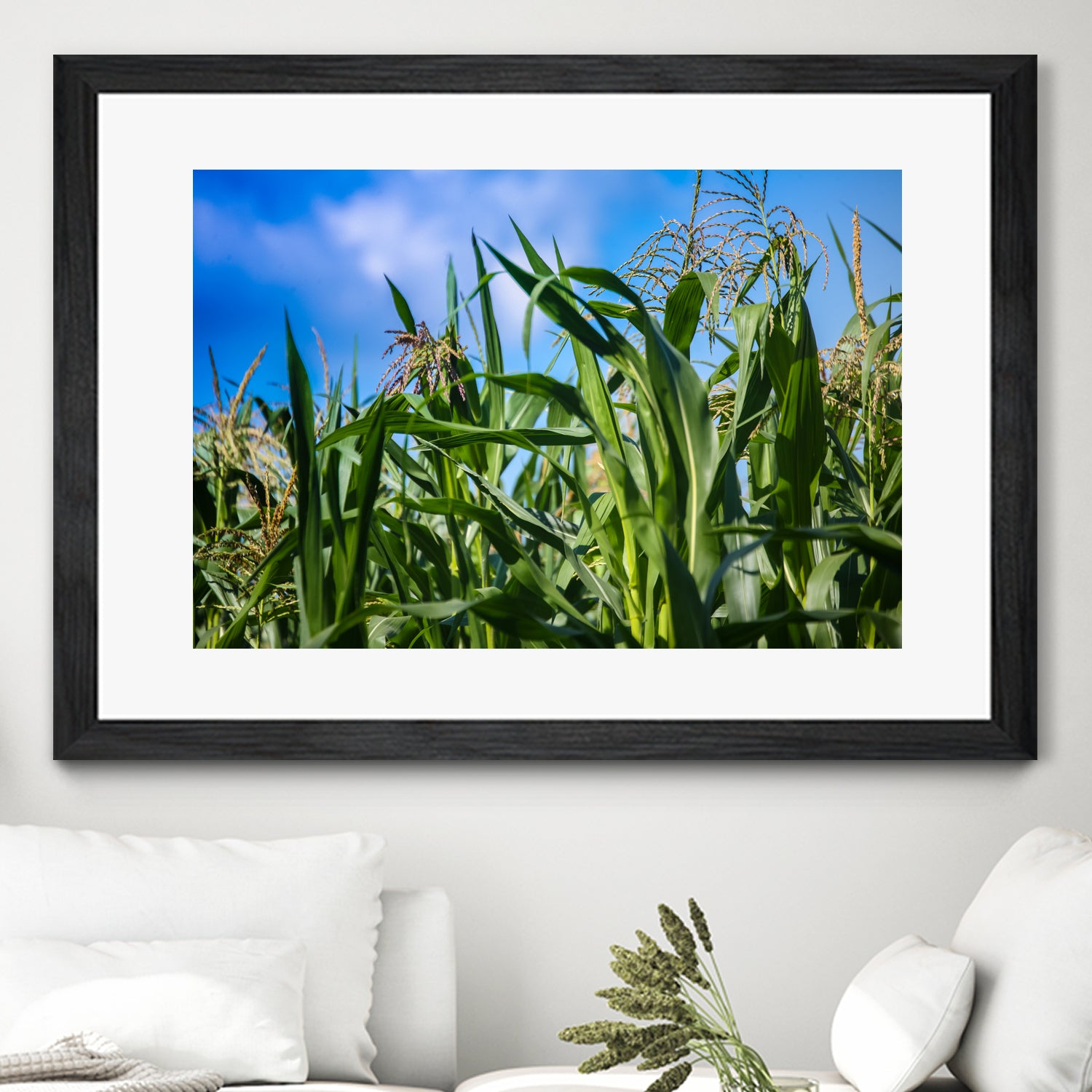 Corn Field Blue Sky Close-up by Anna Matveeva on GIANT ART - green photo illustration