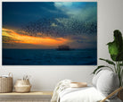 Starling Sunset by Chris Lord on GIANT ART - blue photo illustration