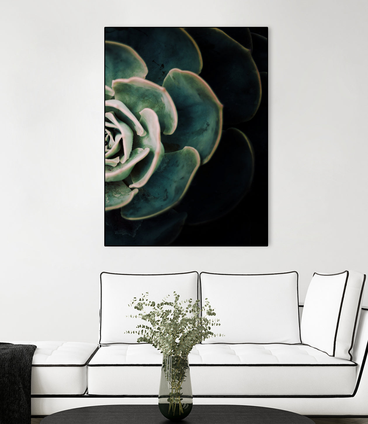 DARKSIDE OF SUCCULENTS IV-2 by Pia Schneider on GIANT ART - black photo manipulation