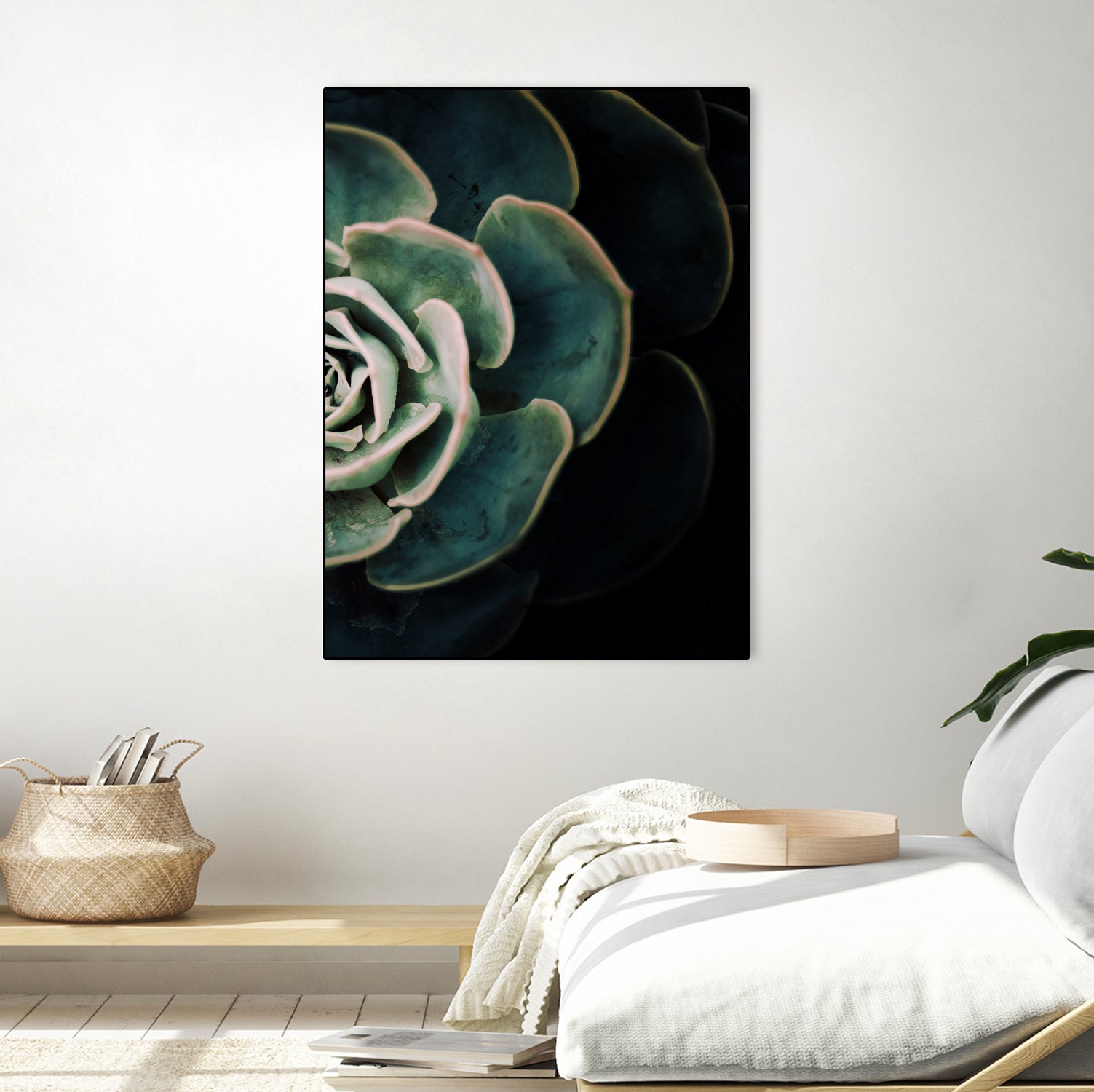 DARKSIDE OF SUCCULENTS IV-2 by Pia Schneider on GIANT ART - black photo manipulation