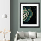 DARKSIDE OF SUCCULENTS IV-2 by Pia Schneider on GIANT ART - black photo manipulation