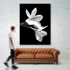 White Flowers Black Background by Alessandra Minervini on GIANT ART - black digital painting