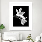 White Flowers Black Background by Alessandra Minervini on GIANT ART - black digital painting