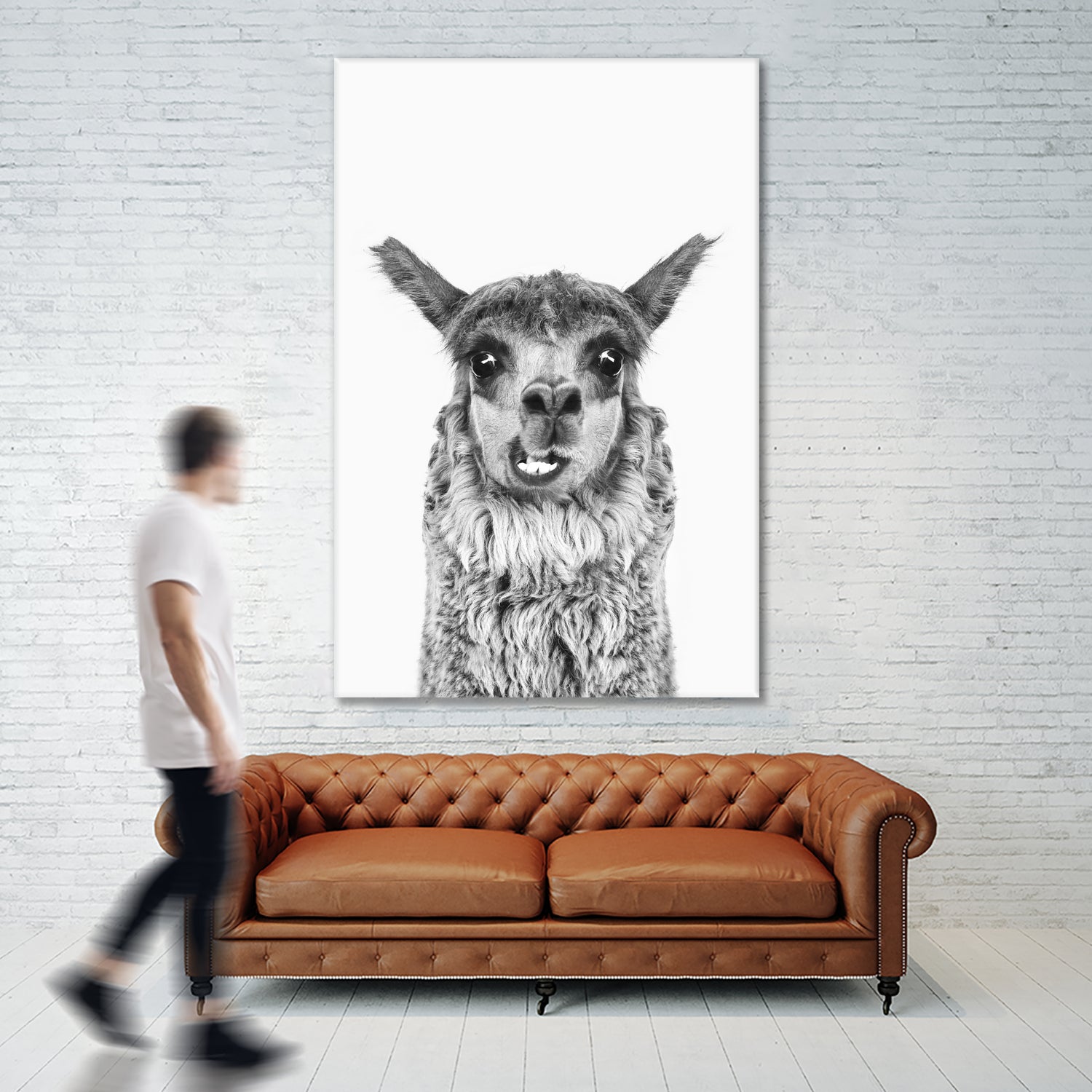 Happy Llama by Kathrin Pienaar on GIANT ART - gray photo manipulation