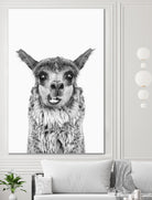 Happy Llama by Kathrin Pienaar on GIANT ART - gray photo manipulation