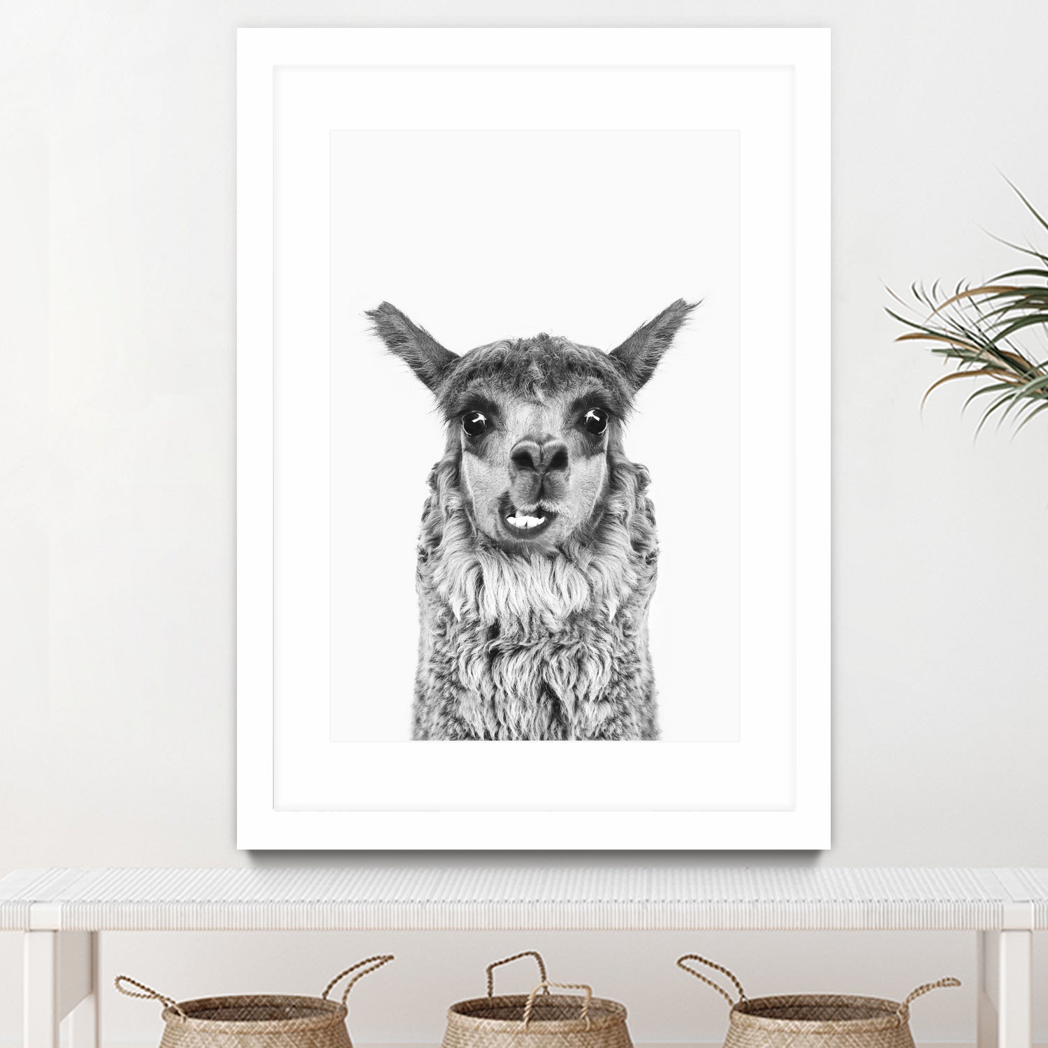 Happy Llama by Kathrin Pienaar on GIANT ART - gray photo manipulation