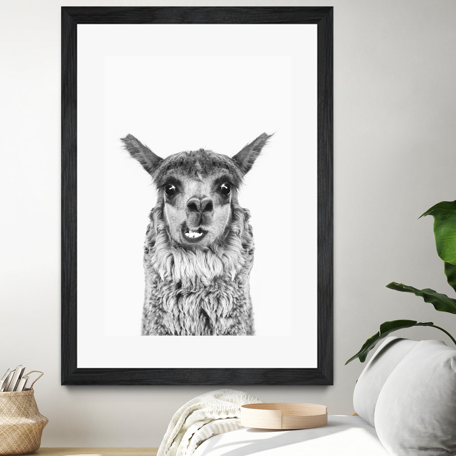 Happy Llama by Kathrin Pienaar on GIANT ART - gray photo manipulation