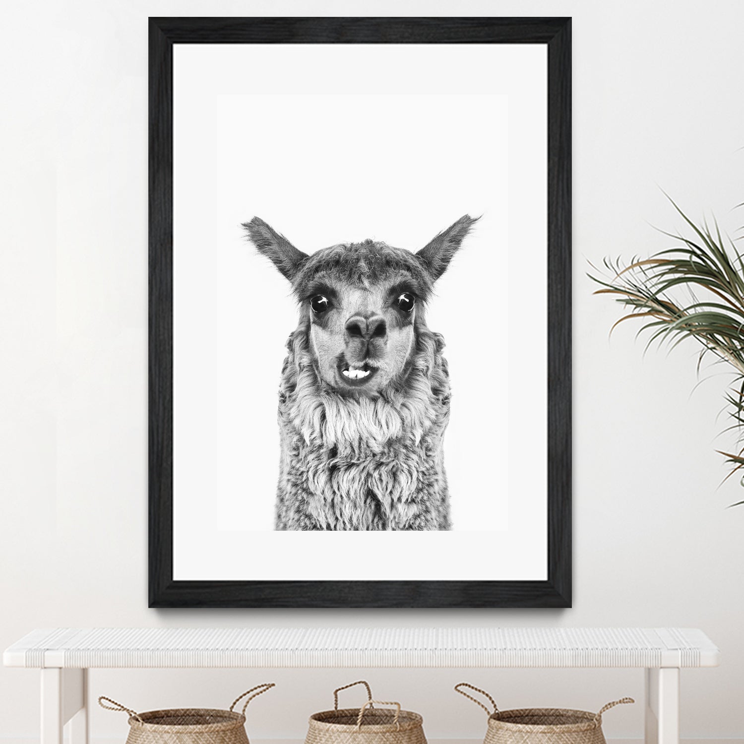 Happy Llama by Kathrin Pienaar on GIANT ART - gray photo manipulation