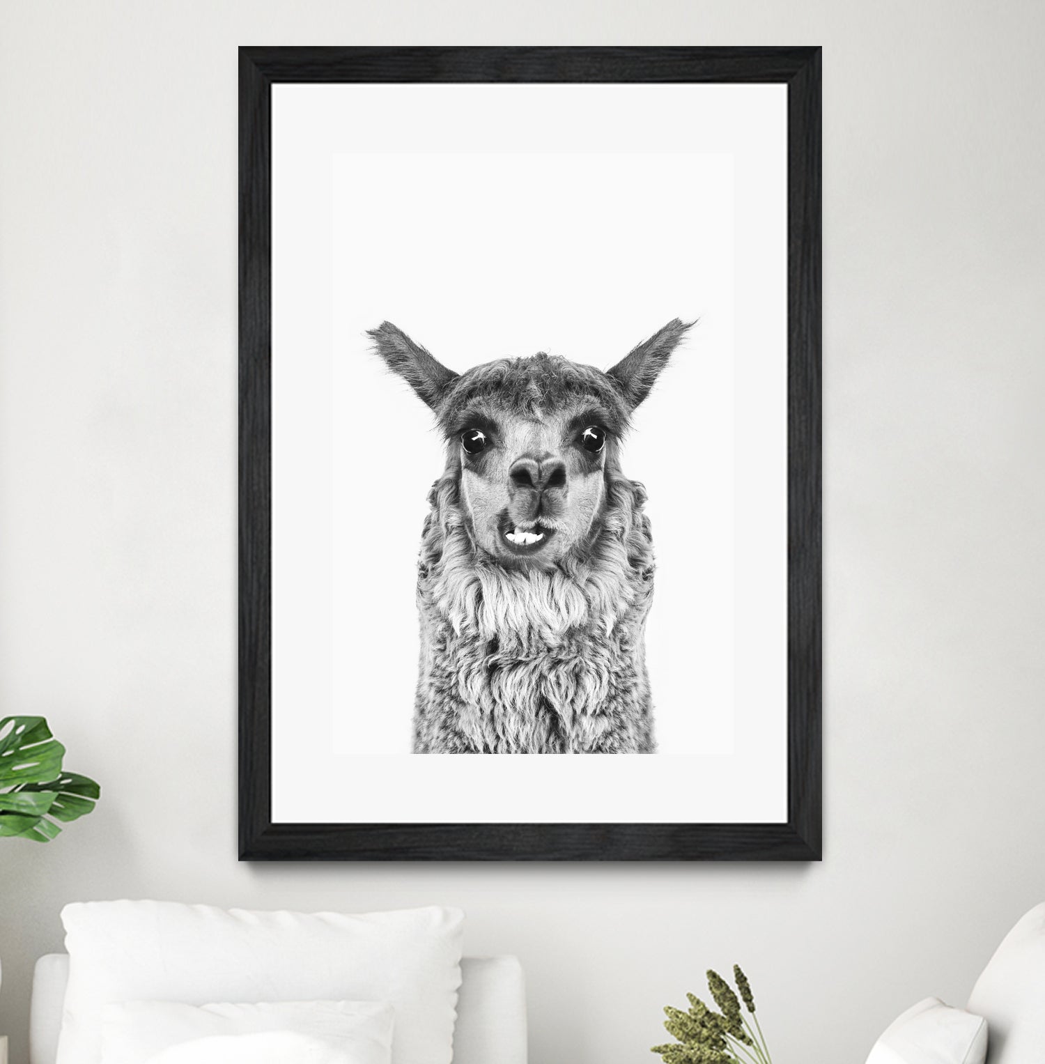 Happy Llama by Kathrin Pienaar on GIANT ART - gray photo manipulation