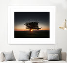 Windswept tree at Penclawdd, Gower by Leighton Collins on GIANT ART - orange photo illustration