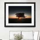 Windswept tree at Penclawdd, Gower by Leighton Collins on GIANT ART - orange photo illustration