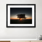 Windswept tree at Penclawdd, Gower by Leighton Collins on GIANT ART - orange photo illustration