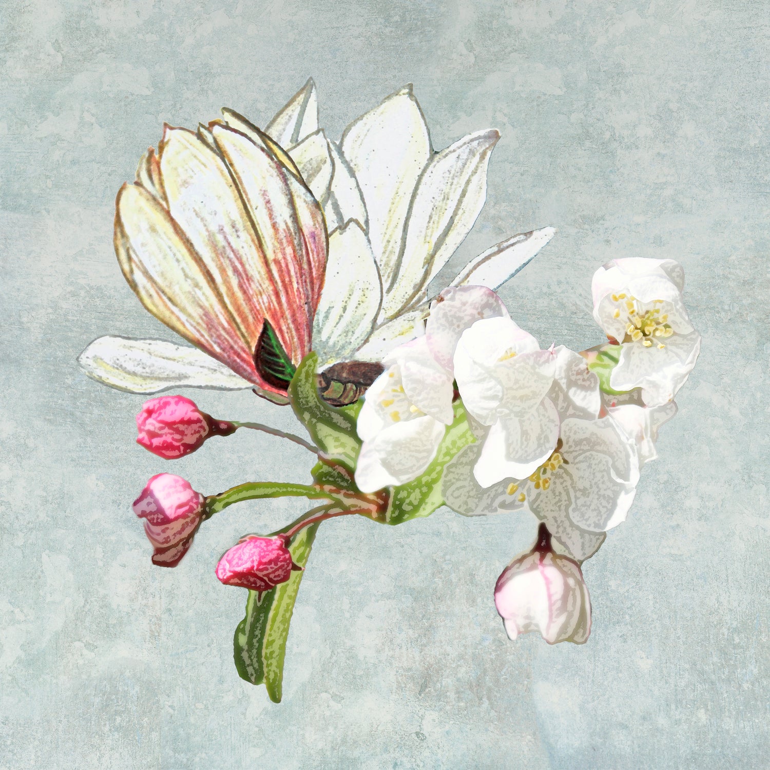 Magic in the air - blossoming by anne corr on GIANT ART - gray digital painting