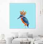 KINGFISHER by Jonas Loose on GIANT ART - blue photo manipulation