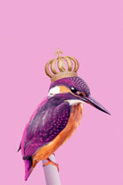 QUEENFISHER by Jonas Loose on GIANT ART - pink photo manipulation