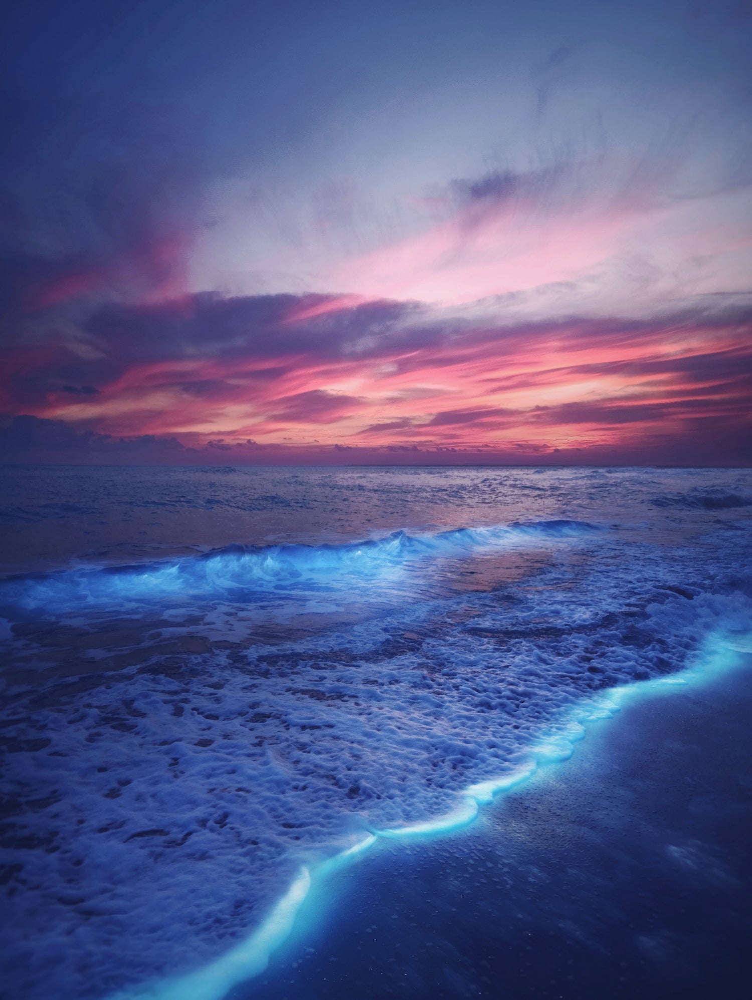 Starry waves by Hussam Eissa on GIANT ART - pink digital painting