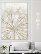 Dandelion Neutral Close-up by IOANNA PAPANIKOLAOU on GIANT ART - brown photo illustration