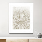 Dandelion Neutral Close-up by IOANNA PAPANIKOLAOU on GIANT ART - brown photo illustration