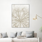 Dandelion Neutral Close-up by IOANNA PAPANIKOLAOU on GIANT ART - brown photo illustration