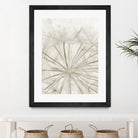 Dandelion Neutral Close-up by IOANNA PAPANIKOLAOU on GIANT ART - brown photo illustration