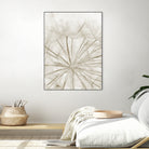 Dandelion Neutral Close-up by IOANNA PAPANIKOLAOU on GIANT ART - brown photo illustration