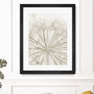 Dandelion Neutral Close-up by IOANNA PAPANIKOLAOU on GIANT ART - brown photo illustration