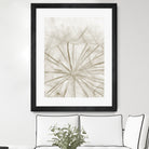 Dandelion Neutral Close-up by IOANNA PAPANIKOLAOU on GIANT ART - brown photo illustration