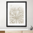 Dandelion Neutral Close-up by IOANNA PAPANIKOLAOU on GIANT ART - brown photo illustration