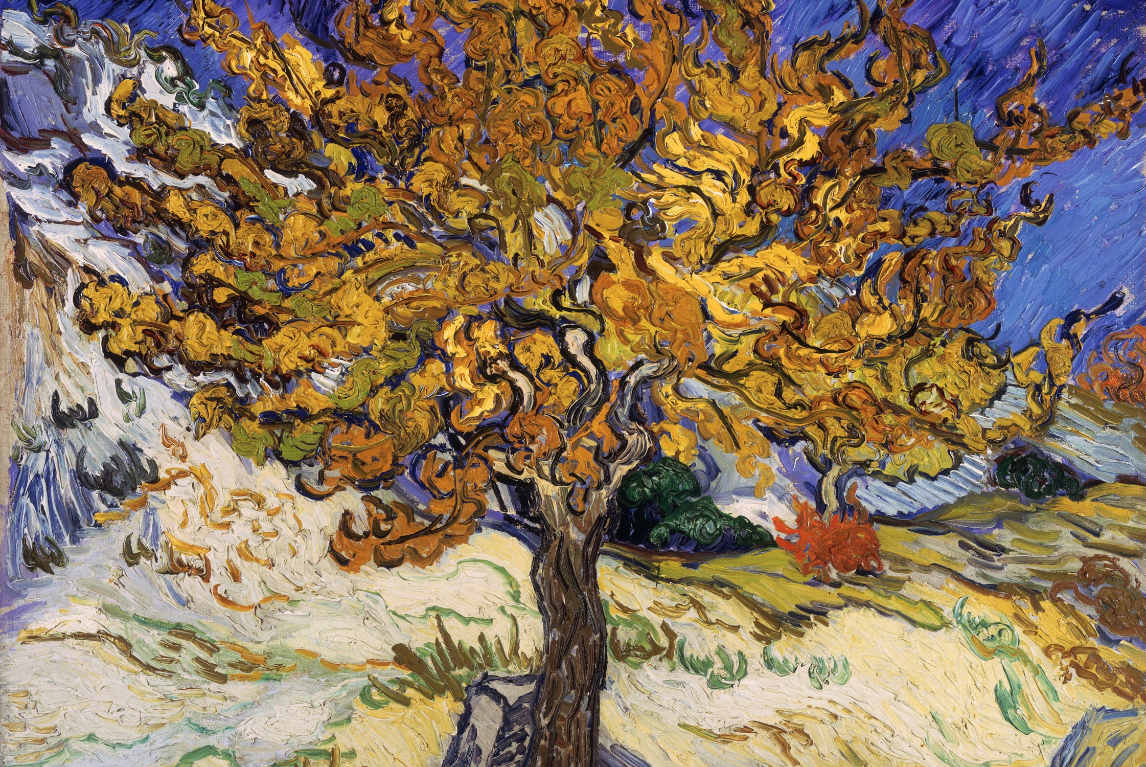 Mulberry Tree by Vincent Van Gogh on GIANT ART - yellow landscape