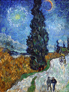 Country Road in Provence by night by Vincent Van Gogh on GIANT ART