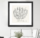 L'arbre Platane by Henri Matisse  on GIANT ART - museums