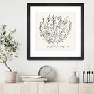 L'arbre Platane by Henri Matisse  on GIANT ART - museums